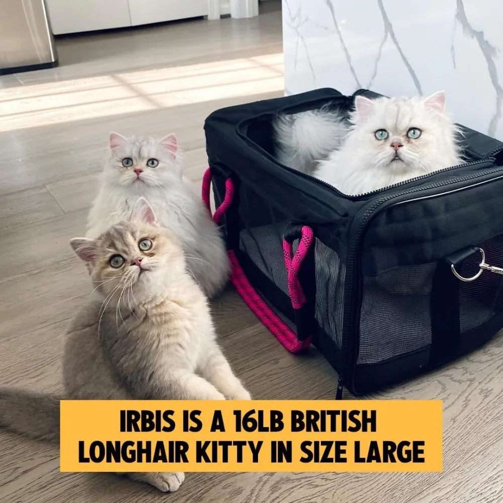 Airline-Compliant Pet Carrier | Includes Leash - Good Bargain Finds
