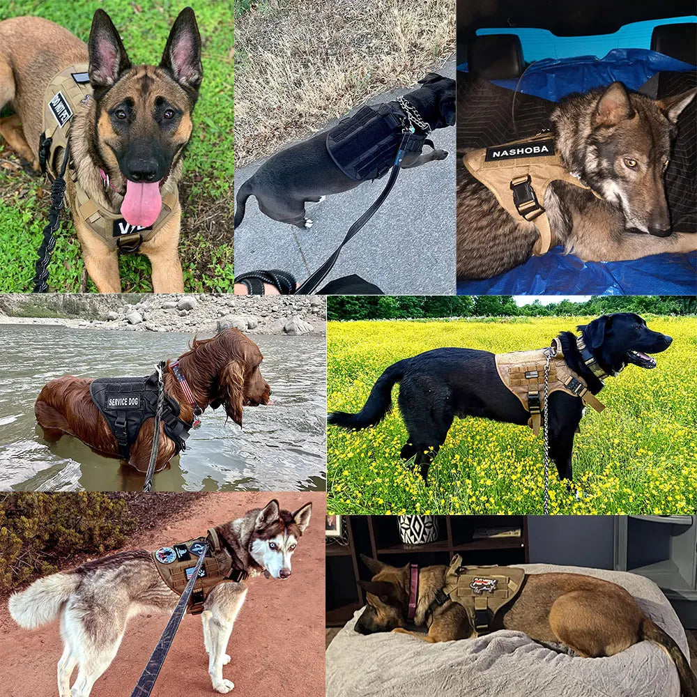 K9 Military Dog Harness Leash Bags Set, Vest Harnesses Walking Training Hunting, For Large Dogs German Shepherd