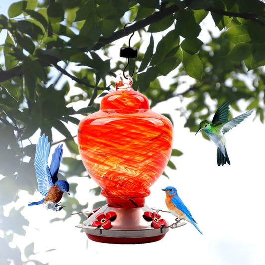 Hummingbird Feeder with Perch - Good Bargain Finds