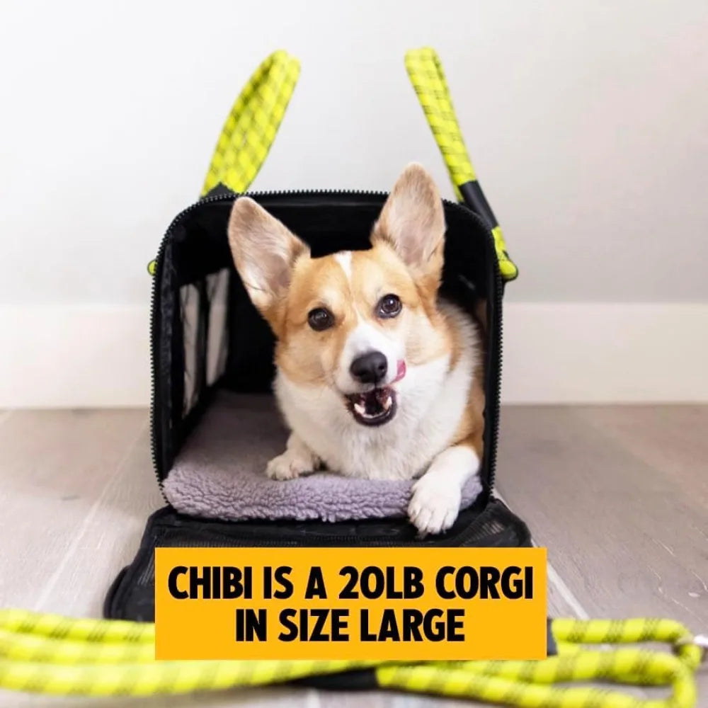 Airline-Compliant Pet Carrier | Includes Leash - Good Bargain Finds