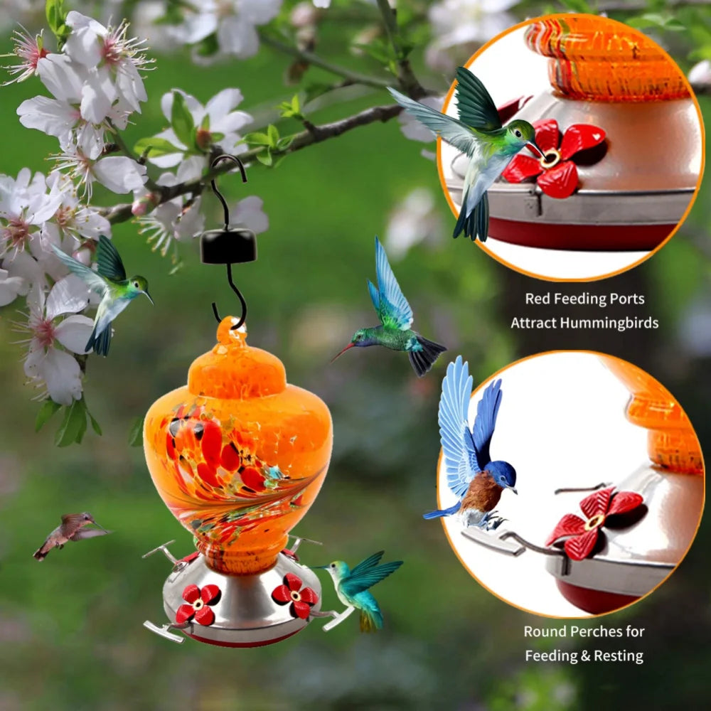 Hummingbird Feeder with Perch - Good Bargain Finds