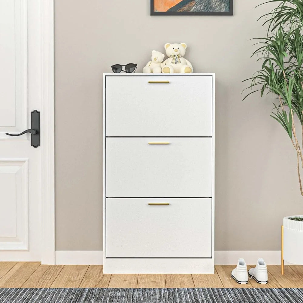 Narrow Shoe Storage Cabinet - Good Bargain Finds